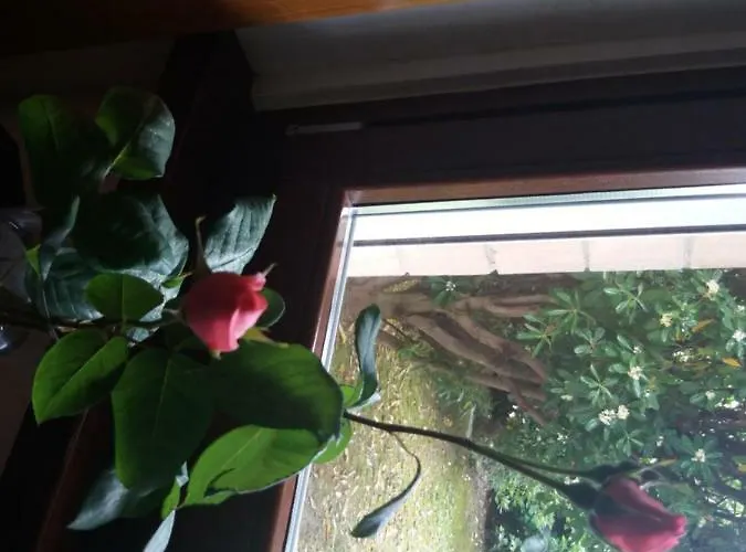 Giardino Delle Rose Lido di Fermo