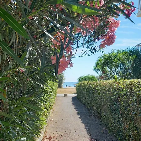Giardino Delle Rose Apartment *
