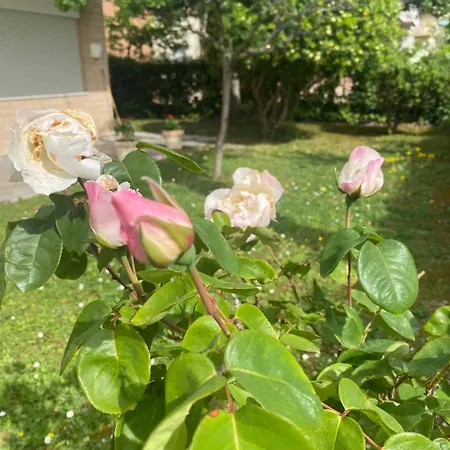 Giardino Delle Rose * Lido di Fermo