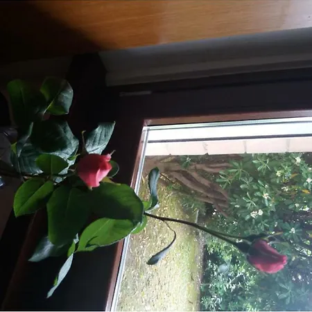 Giardino Delle Rose לידו די פרמו